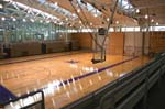 basketball arena 2