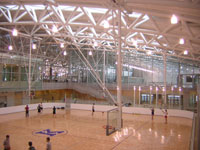 Multi-activity Court